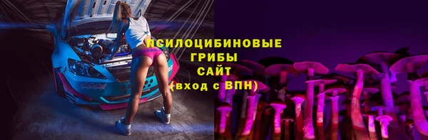 ГАЛЛЮЦИНОГЕННЫЕ ГРИБЫ Балахна