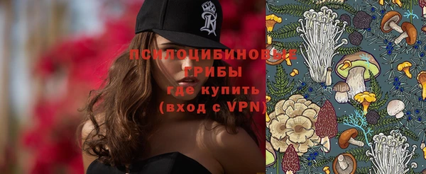 ГАЛЛЮЦИНОГЕННЫЕ ГРИБЫ Балахна