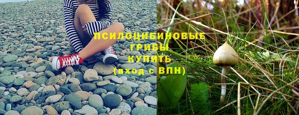 стафф Баксан